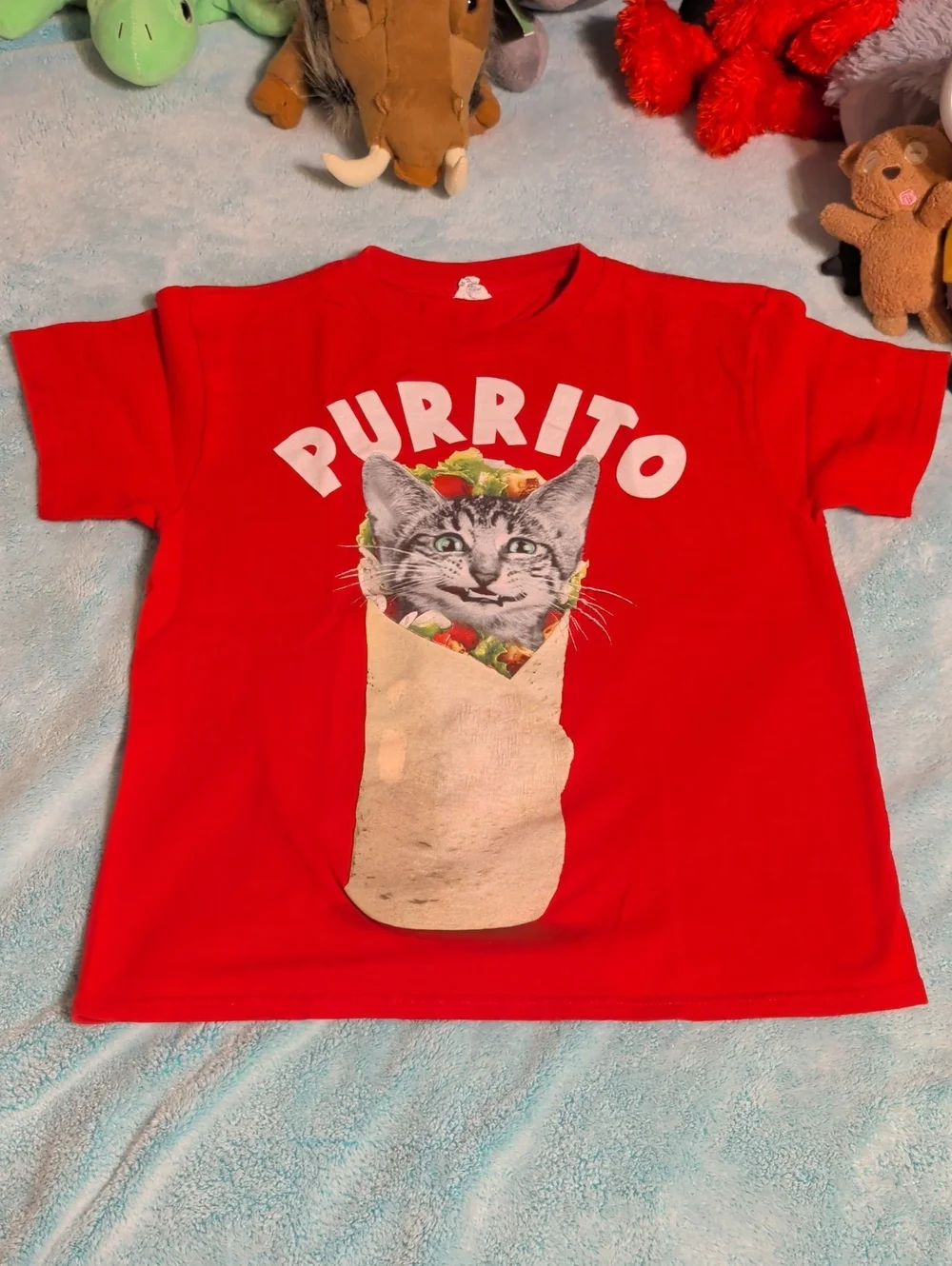 Silly Cat Shirt😸😹